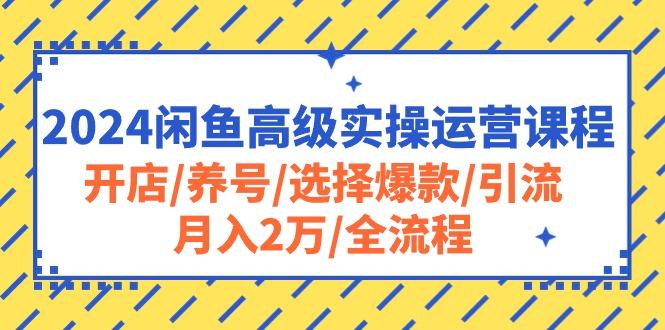 2024闲鱼高级实操运营课程：开店/养号/选择爆款/引流/月入2万/全流程-泡泡网赚