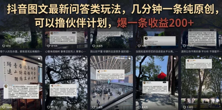 抖音图文最新问答类玩法，几分钟一条纯原创，可以撸伙伴计划，爆一条收益200+-泡泡网赚