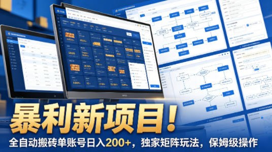 暴利新项目！全自动搬砖单账号日入200+，独家矩阵玩法，保姆级操作【揭秘】-泡泡网赚