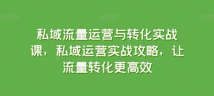 私域流量运营与转化实战课，私域运营实战攻略，让流量转化更高效-泡泡网赚