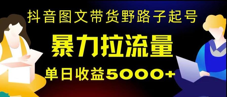 抖音图文带货暴力起号，单日收益5000+，野路子玩法，简单易上手，一部手机即可【揭秘】-泡泡网赚