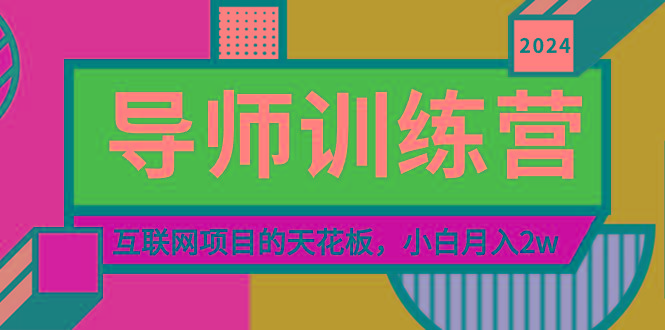 《导师训练营》精准粉丝引流的天花板，小白月入2w-泡泡网赚