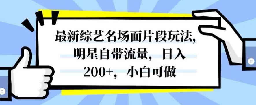 最新综艺名场面片段玩法，明星自带流量，日入200+，小白可做【揭秘】-泡泡网赚