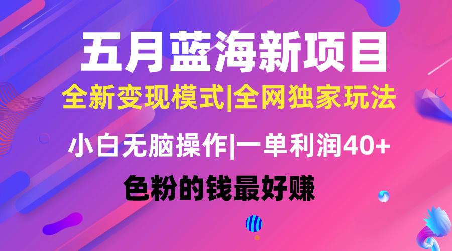 五月蓝海项目全新玩法，小白无脑操作，一天几分钟，矩阵操作，月入4万+-泡泡网赚