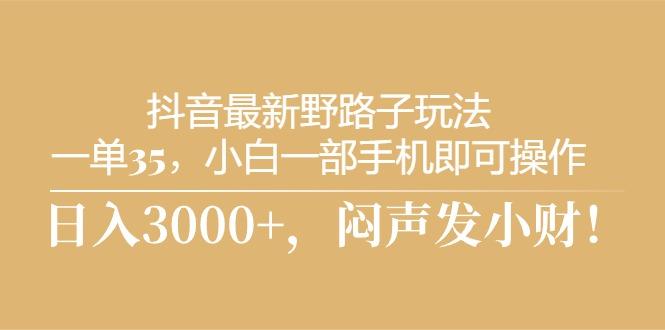 抖音最新野路子玩法，一单35，小白一部手机即可操作，，日入3000+，闷…-泡泡网赚