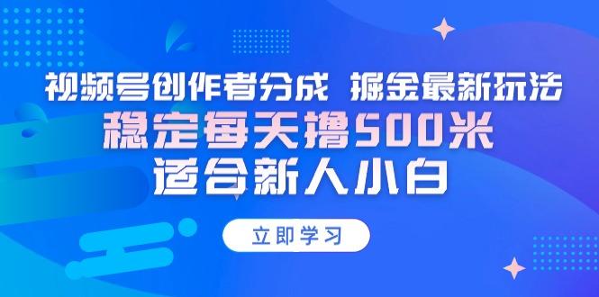 【蓝海项目】视频号创作者分成 掘金最新玩法 稳定每天撸500米 适合新人小白-泡泡网赚