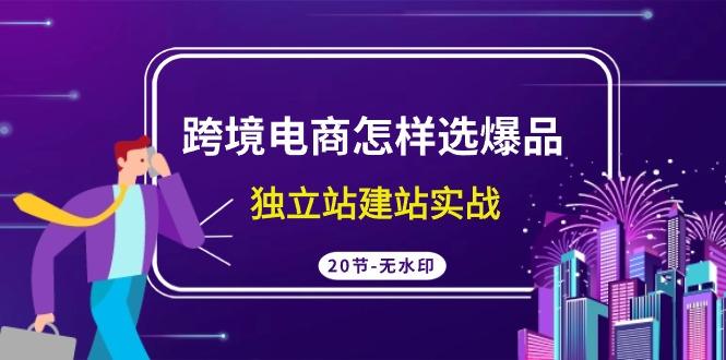 (9369期)跨境电商怎样选爆品，独立站建站实战(20节高清无水印课)-泡泡网赚