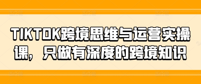 TIKTOK跨境思维与运营实操课，只做有深度的跨境知识-泡泡网赚