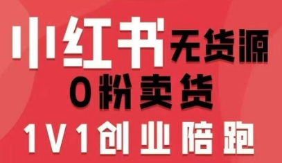 小红书无货源0粉电商课，开店准备、选品策略、笔记撰写、视频剪辑、数据分析、账号打造、资料文档-泡泡网赚
