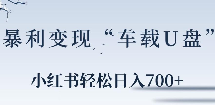小红书“车载U盘”暴利引流，日入700+-泡泡网赚