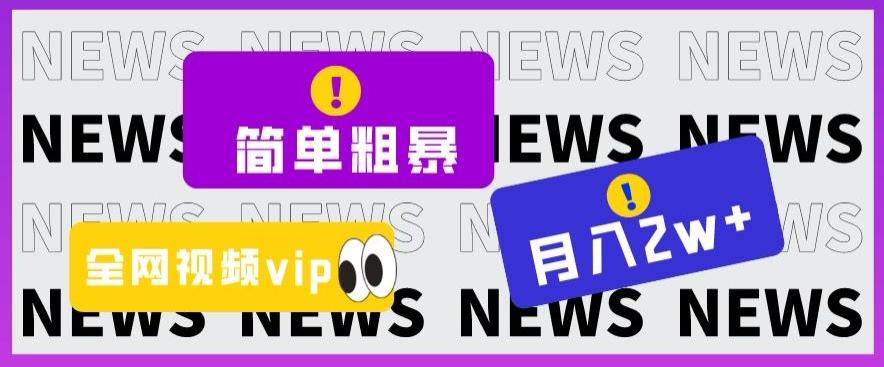 简单粗暴零成本，高回报，全网视频VIP掘金项目，月入2万＋【揭秘】-泡泡网赚