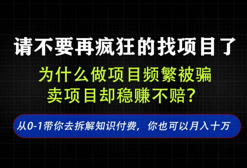 找项目？别傻了！卖项目才是真的一本万利！看完你全都懂了【揭秘】-泡泡网赚