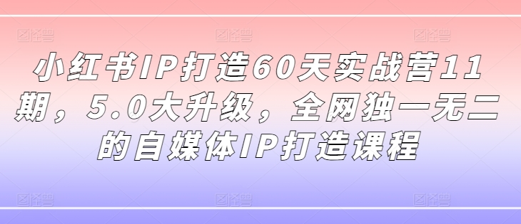 小红书IP打造60天实战营11期，5.0大升级，全网独一无二的自媒体IP打造课程-泡泡网赚