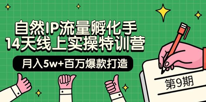 (9881期)自然IP流量孵化手 14天线上实操特训营【第9期】月入5w+百万爆款打造 (74节)-泡泡网赚