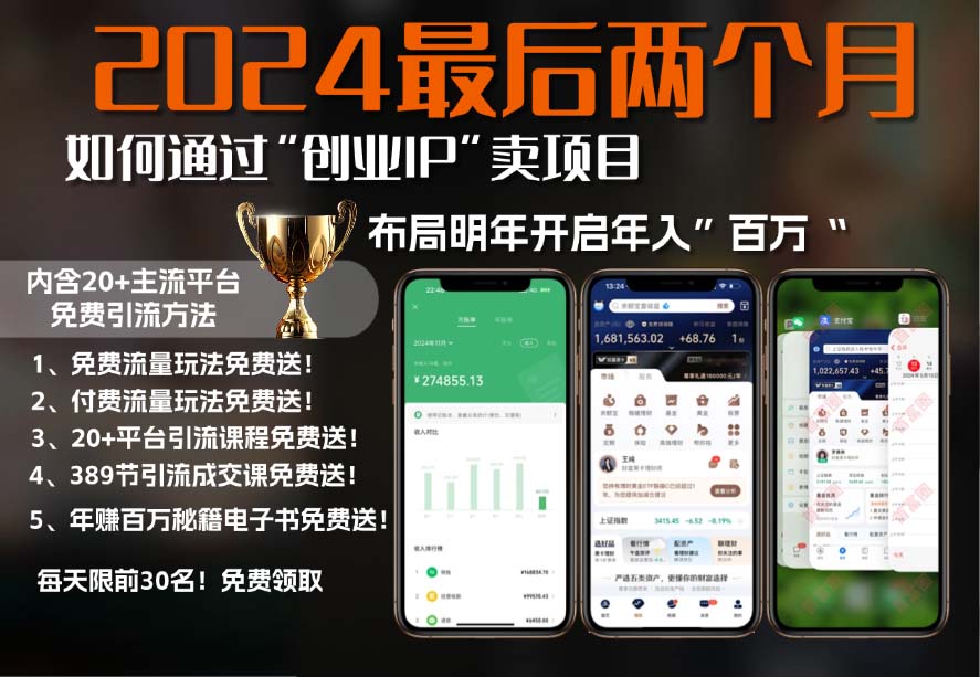 2024最后两个月如何通过”创业IP“卖项目年入”百万“,创业IP+最强引流…-泡泡网赚