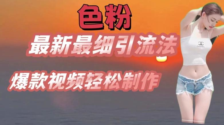 se粉最新最细引流法，七天螺旋起号法，爆款视频轻松制作【揭秘】-泡泡网赚