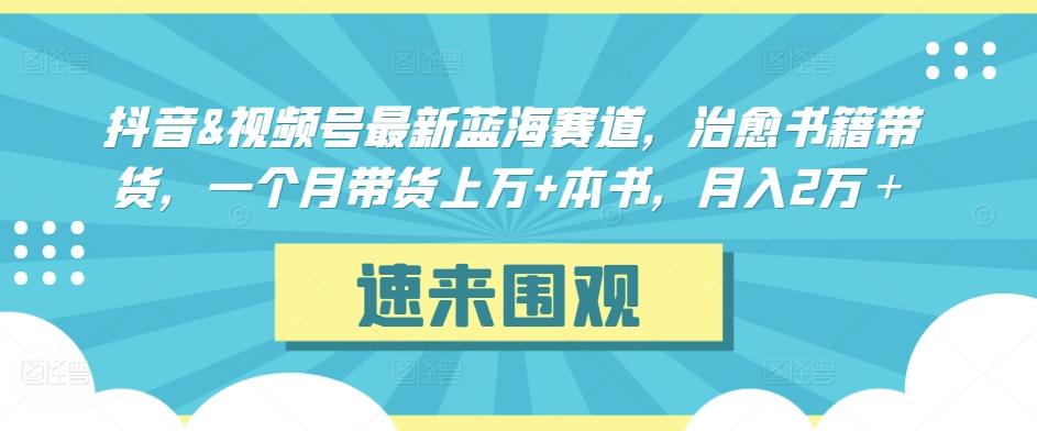 抖音&视频号最新蓝海赛道，治愈书籍带货，一个月带货上万+本书，月入2万＋【揭秘】-泡泡网赚