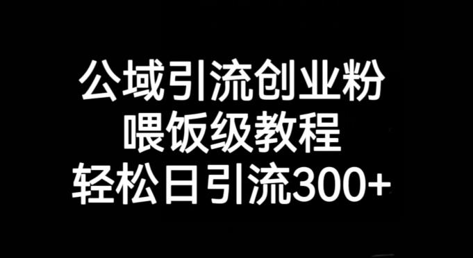 公域引流创业粉，喂饭级教程，轻松日引流300+【揭秘】-泡泡网赚