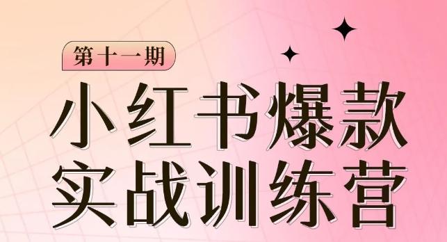 小红书博主爆款训练营第11期，手把手教你从0-1做小红书，从定位到起号到变现-泡泡网赚