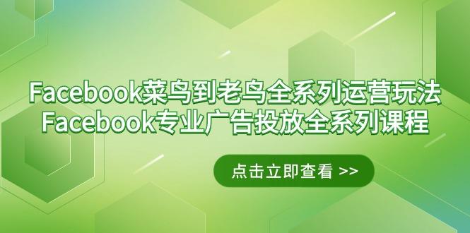 Facebook-菜鸟到老鸟全系列运营玩法+Facebook-专业广告投放全系列课程-泡泡网赚
