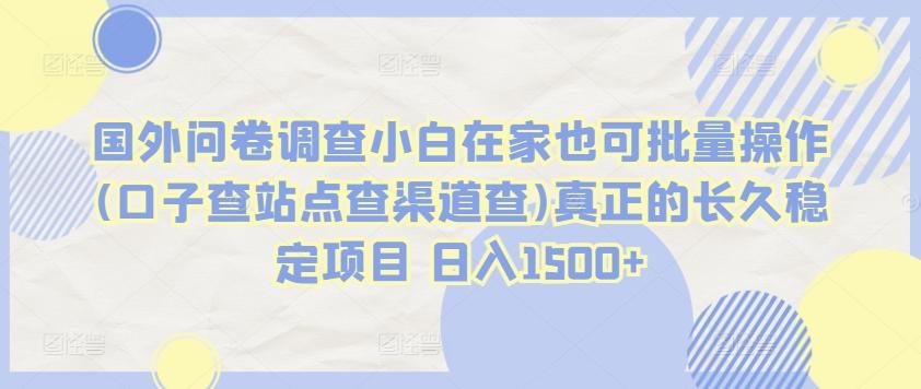 国外问卷调查小白在家也可批量操作(口子查站点查渠道查)真正的长久稳定项目 日入1500+【揭秘】-泡泡网赚