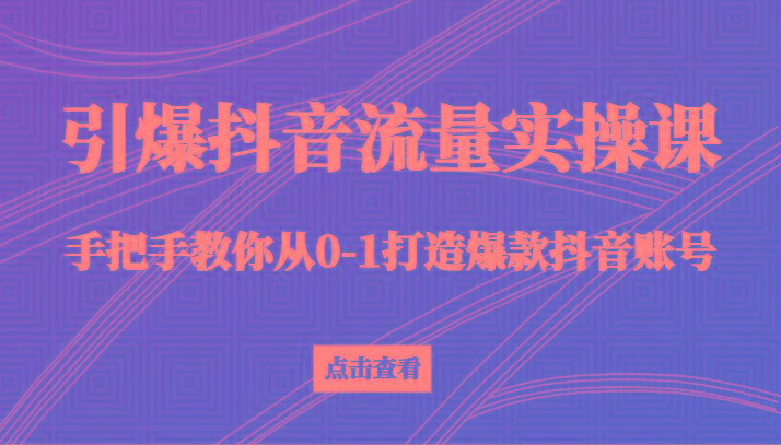 引爆抖音流量实操课，手把手教你从0-1打造爆款抖音账号(27节课)-泡泡网赚