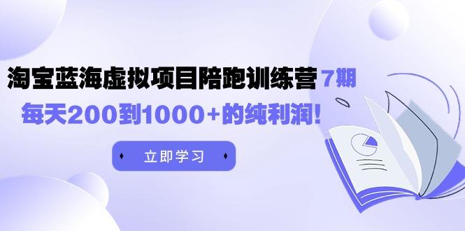 (9541期)黄岛主《淘宝蓝海虚拟项目陪跑训练营7期》每天200到1000+的纯利润-泡泡网赚