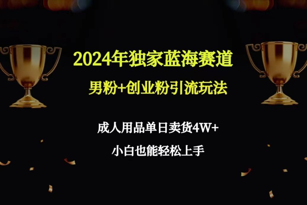 2024年独家蓝海赛道男粉+创业粉引流玩法，成人用品单日卖货4W+保姆教程-泡泡网赚
