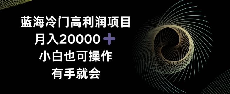 蓝海冷门高利润项目月入2000，小白也可操作有手就会-泡泡网赚