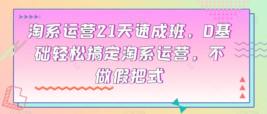 淘系运营21天速成班，0基础轻松搞定淘系运营，不做假把式-泡泡网赚