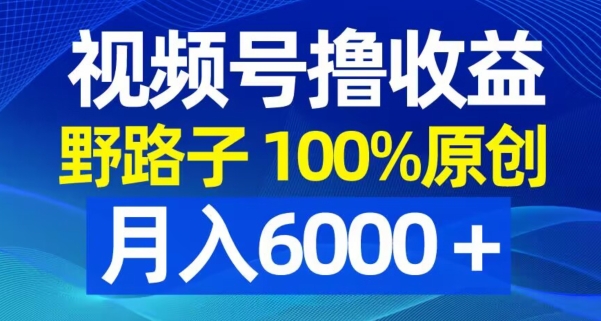 视频号野路子撸收益，100%原创，条条爆款，月入6000＋【揭秘】-泡泡网赚