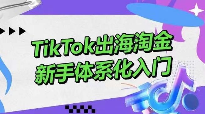 TikTok出海淘金，新手体系化入门，零基础快速入门，掌握短视频、直播带货等引流到变现的知识-泡泡网赚
