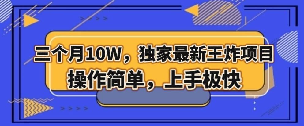三个月10W，独家最新王炸项目！操作简单，上手极快【揭秘】-泡泡网赚