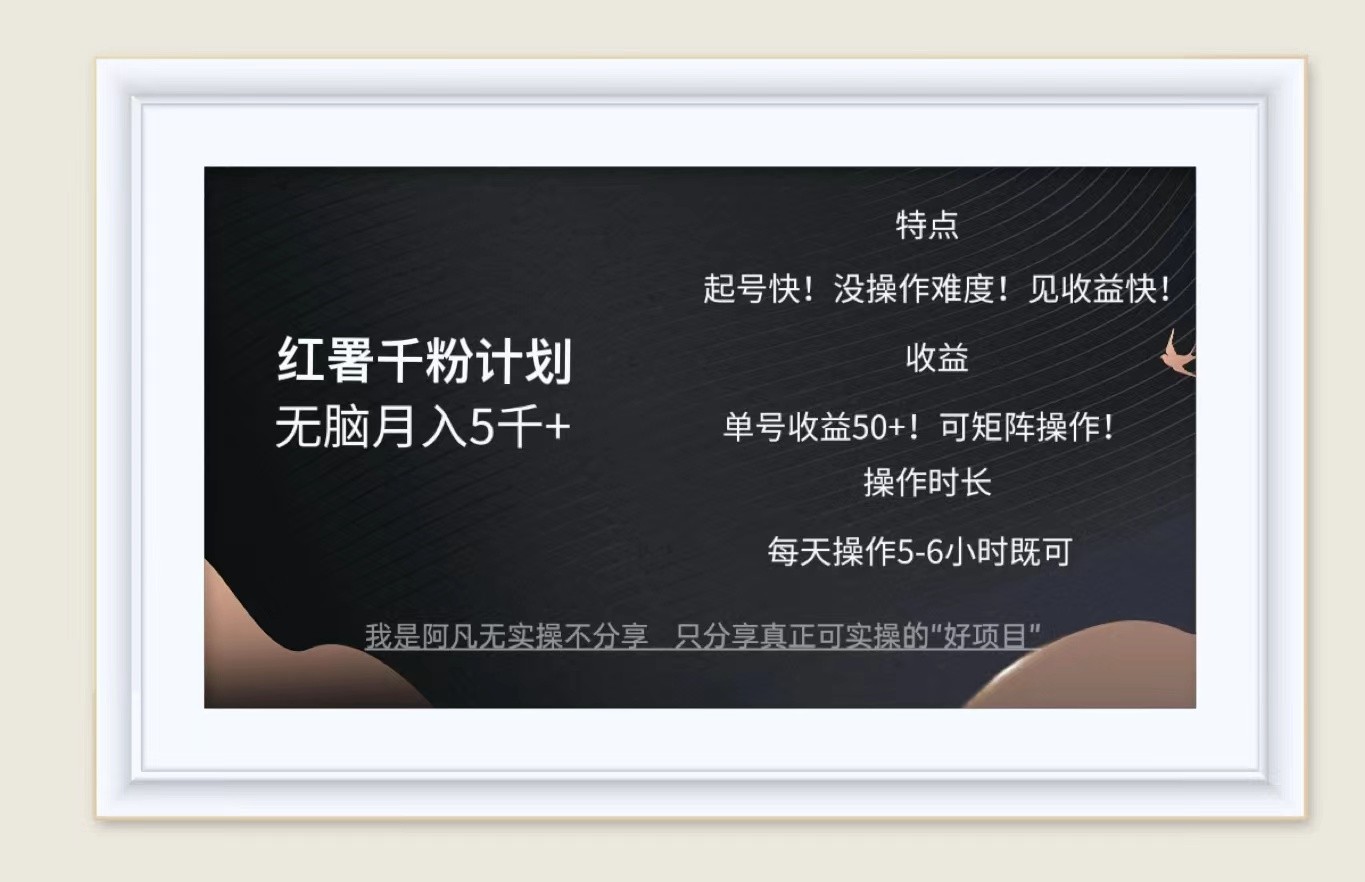 红薯千粉计划无脑月入5千+！既做既赚！-泡泡网赚