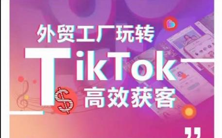 外贸工厂玩转TikTok高效获客，多种引流方式与账号定位技巧，拆解爆款短视频打造成功案例-泡泡网赚
