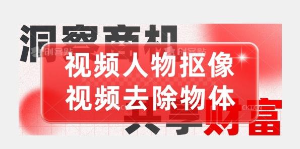 【超强视频处理工具】视频人物抠像+视频去除物体-泡泡网赚