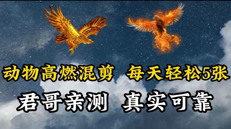动物超燃混剪，每天轻松5张，剪辑简单大家爱看【揭秘】-泡泡网赚