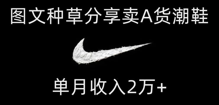靠图文种草分享卖A货潮鞋，每天一小时，单月收入2万+【揭秘】-泡泡网赚