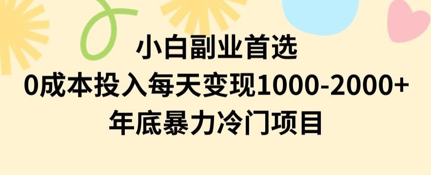 小白副业首选，0成本投入，每天变现1000-2000年底暴力冷门项目【揭秘】-泡泡网赚