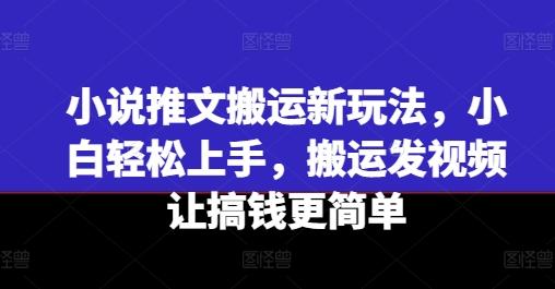 小说推文搬运新玩法，小白轻松上手，搬运发视频让搞钱更简单-泡泡网赚