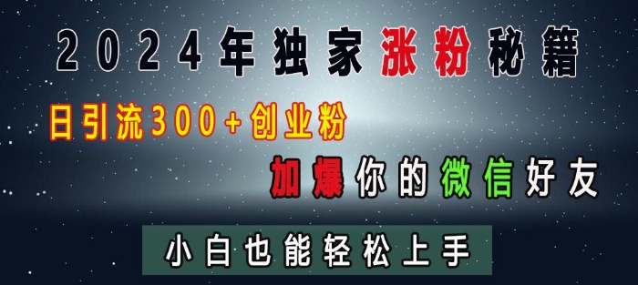 2024年独家涨粉秘籍，日引流300+创业粉，加爆你的微信好友，小白也能轻松上手-泡泡网赚