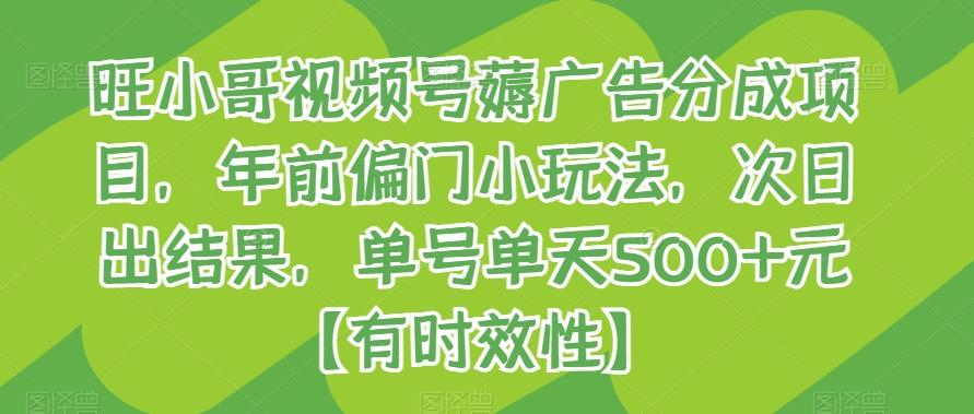 旺小哥视频号薅广告分成项目，年前偏门小玩法，次日出结果，单号单天500+元【有时效性】-泡泡网赚