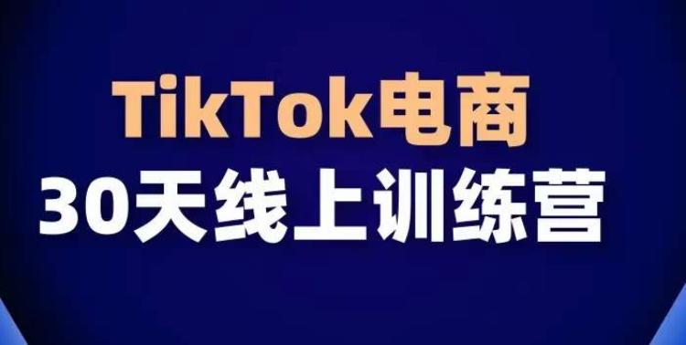 TikTok电商带货30天线上课，不可错过的全球流量洼地！-泡泡网赚