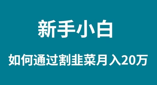 (9308期)新手小白如何通过割韭菜月入 20W-泡泡网赚