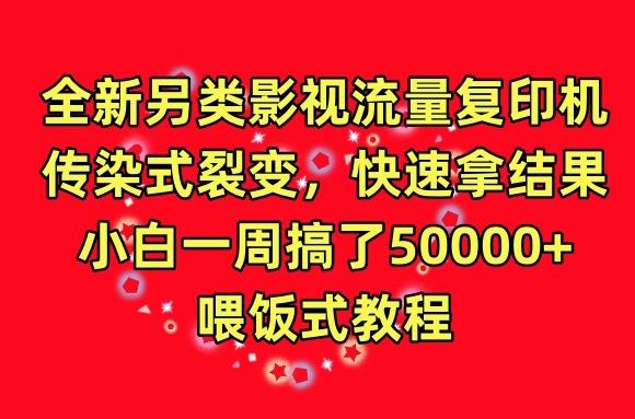 全新另类影视流量复印机，传染式裂变，快速拿结果，小白一周搞了50000+，喂饭式教程【揭秘】-泡泡网赚