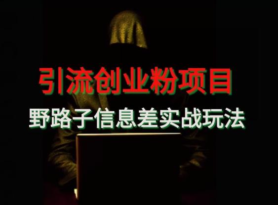 【引流创业粉】野路子信息差玩法实战教学-泡泡网赚