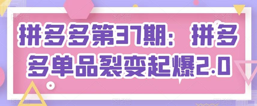 拼多多第37期：拼多多单品裂变起爆2.0-泡泡网赚