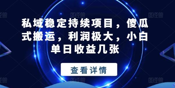 私域稳定持续项目，傻瓜式搬运，利润极大，小白单日收益几张【揭秘】-泡泡网赚
