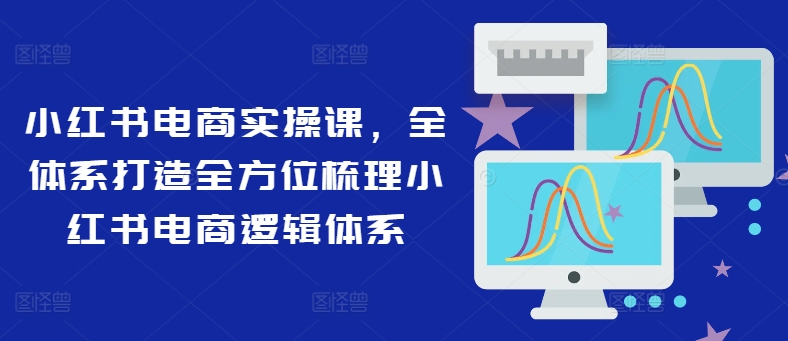 小红书电商实操课，全体系打造全方位梳理小红书电商逻辑体系-泡泡网赚