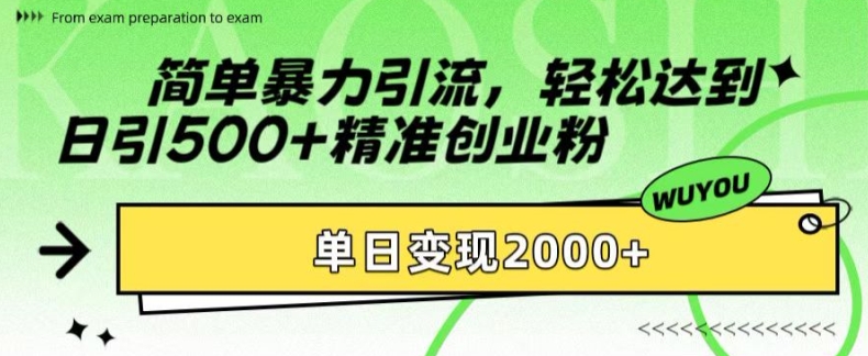简单暴力引流，轻松达到日引500+精准创业粉，单日变现2k【揭秘】-泡泡网赚